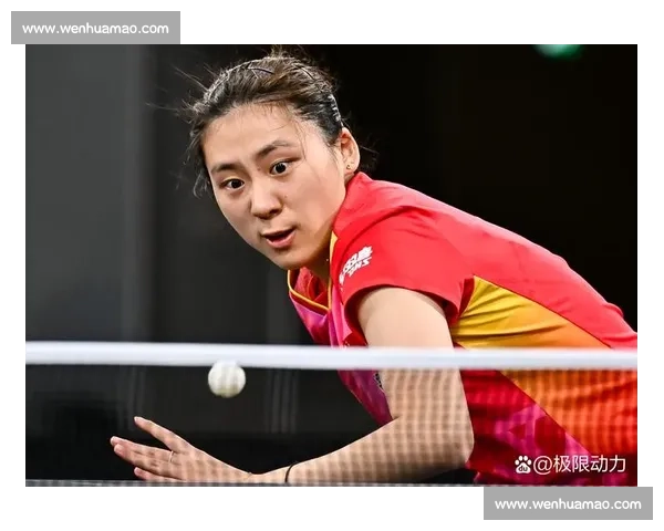 以乒乓球比赛为核心展现竞技精神与全民热情的时代篇章新征程之路
